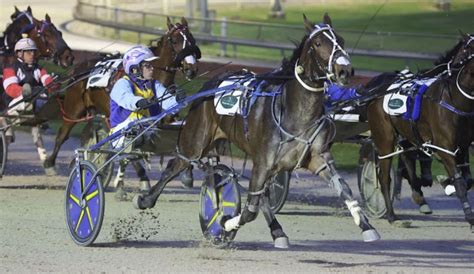 addington races|harness racing nz results.